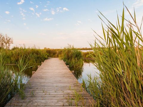 Camping Bon Port - Camping Hérault - Image N°64