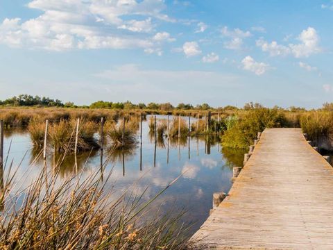 Camping Bon Port - Camping Hérault - Image N°70