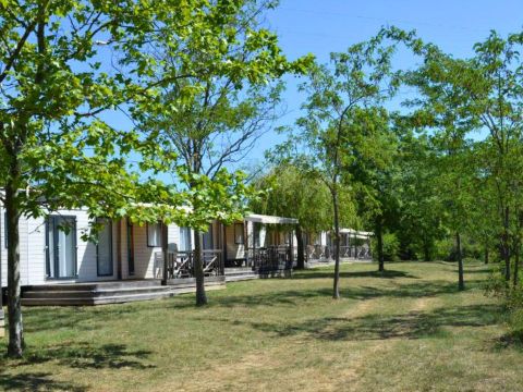 Camping Ludo Parc Pausado - Camping Ardèche - Image N°17
