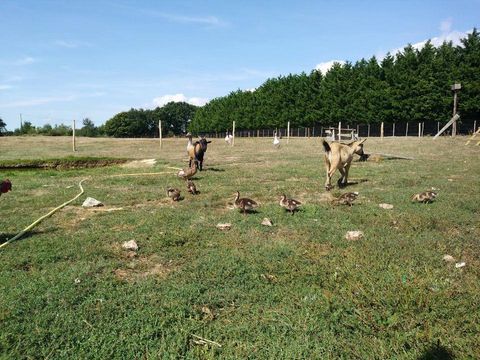 Camping Les Brillas - Camping Loire-Atlantique - Image N°22