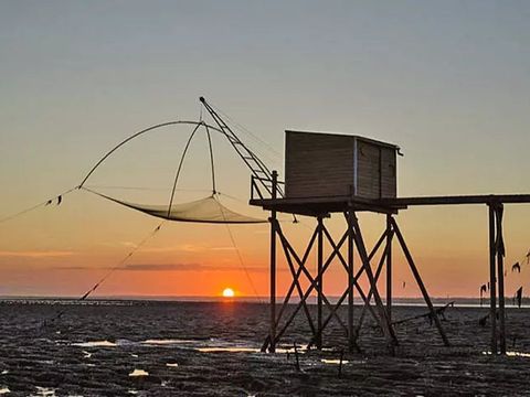 Camping Les Brillas - Camping Loire-Atlantique - Image N°52