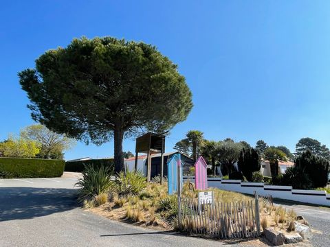 Camping Les Brillas - Camping Loire-Atlantique - Image N°43