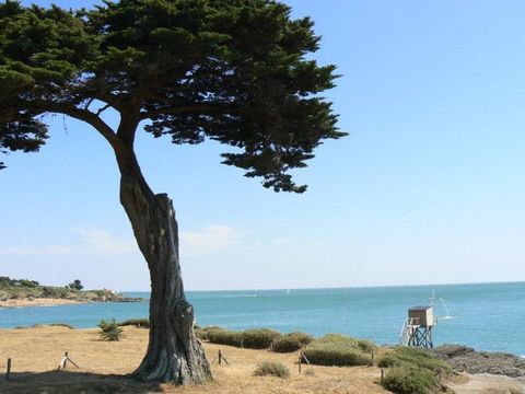 Camping Les Brillas - Camping Loire-Atlantique - Image N°54