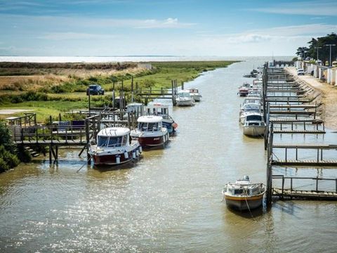 Camping Les Brillas - Camping Loire-Atlantique - Image N°53