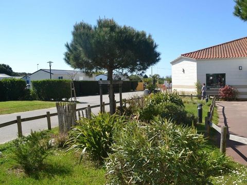 Camping Le Bel Air  - Camping Vendée - Image N°44