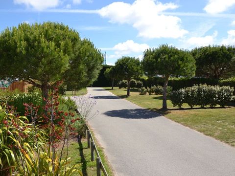 Camping Le Bel Air  - Camping Vendée - Image N°45
