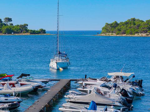 Camping Poljana  - Camping Istrie - Image N°85