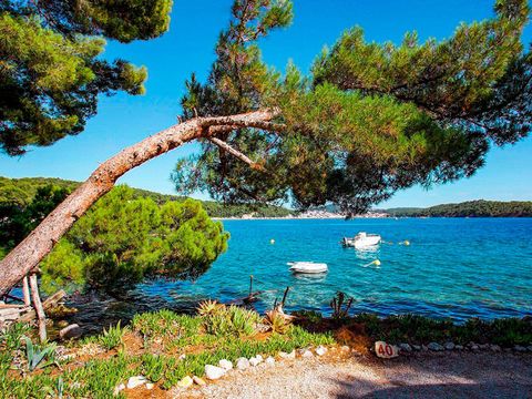 Camping Poljana  - Camping Istrie - Image N°49