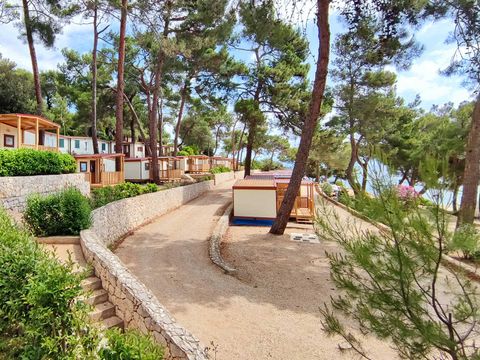 Camping Poljana  - Camping Istrie - Image N°90