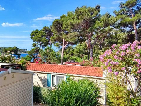 Camping Poljana  - Camping Istrie - Image N°88