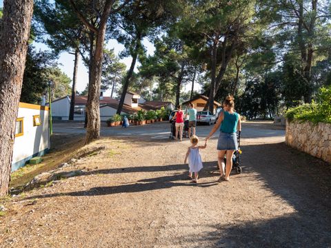 Camping Poljana  - Camping Istrie - Image N°64