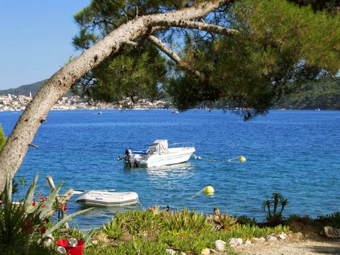 Camping Poljana  - Camping Istrie - Image N°75