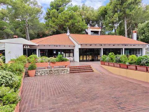Camping Poljana  - Camping Istrie - Image N°27