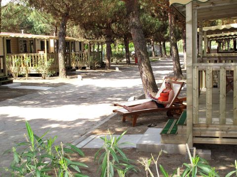MOBILHOME 5 personnes - SunLodge Redwood