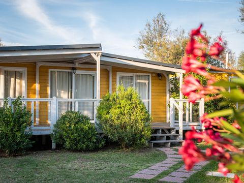 LODGE 4 personnes - Lodge Deluxe Animaux pas Admis