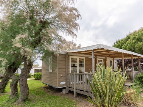 LODGE 4 personnes - Lodge Deluxe Animaux pas Admis