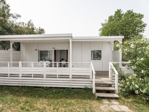 Lodge 4 personnes - Deluxe Family Beach Animaux pas Admis