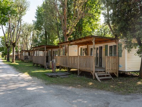 MOBILHOME 4 personnes - Lodge Dog