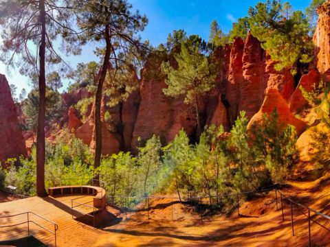 Flower Camping Provence Vallee - Camping Alpes-de-Haute-Provence - Image N°26