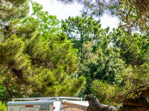 Emplacement - 1 caravane ou 1 tente + 1 voiture ou moto 60m2