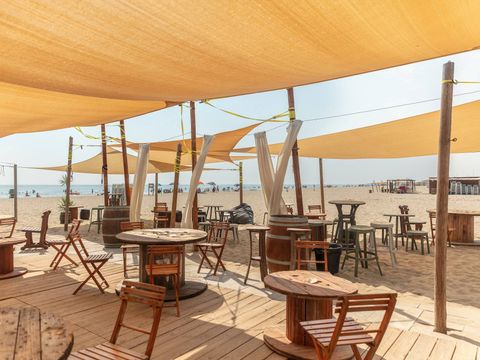 Camping Mare e Pineta - Camping Ferrare - Image N°16