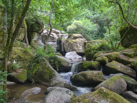 Camping L'Etang Aux Hirondelles - Camping Cantal - Image N°14