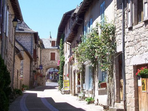 Camping L'Etang Aux Hirondelles - Camping Cantal - Image N°11