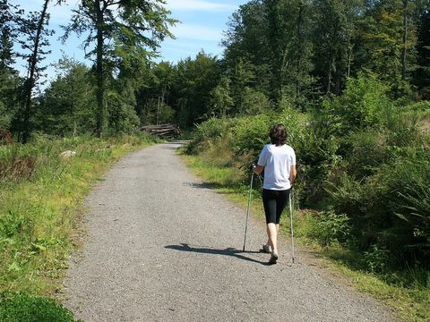 Camping L'Etang Aux Hirondelles - Camping Cantal - Image N°13