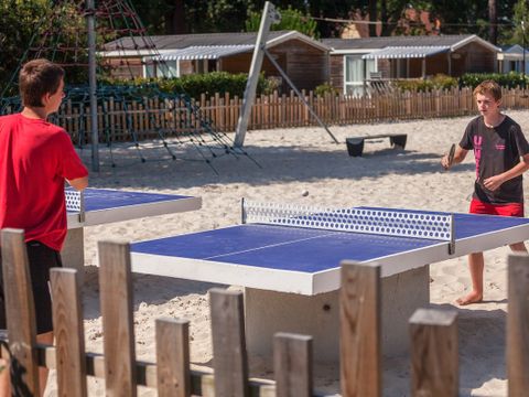 Camping Le Soleil des Landes - Camping Landes - Image N°25