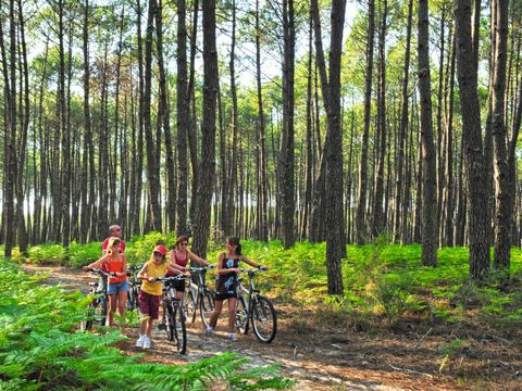 Camping Le Soleil des Landes - Camping Landes - Image N°40