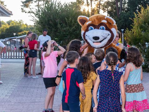 Camping Le Soleil des Landes - Camping Landes - Image N°12