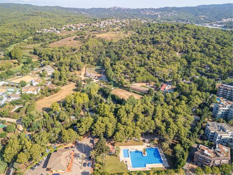 Camping Santa Elena Ciutat - Camping Gérone - Image N°5