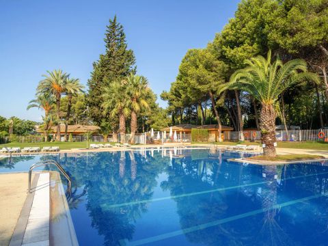 Camping Santa Elena Ciutat - Camping Gérone - Image N°9