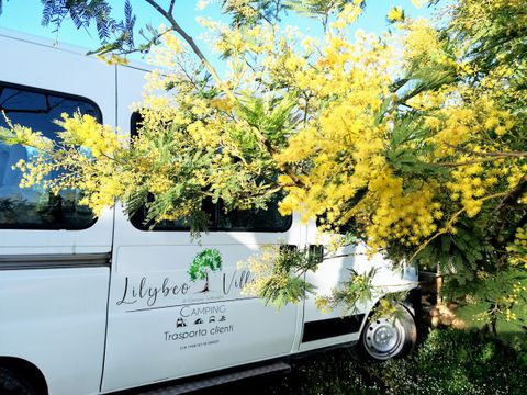 Lilybeo Village - Camping & Residence - Camping Trapani - Image N°36