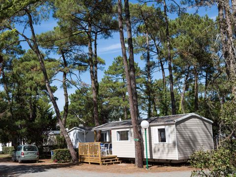 Flower Camping  Les Dunes - Camping Vendée - Image N°30
