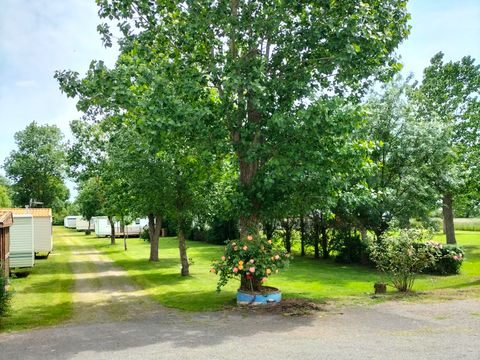 Camping Au Vent des Marais - Camping Vendée - Image N°2