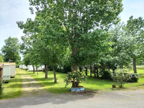 Camping Au Vent des Marais - Camping Vendée - Image N°8