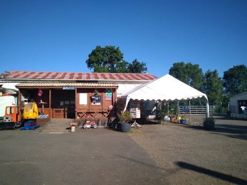 Camping Au Vent des Marais - Camping Vendée - Image N°4