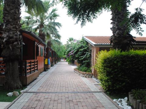 Camping Duca Amedeo - Camping Teramo - Image N°11