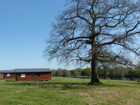Domaine de la Hechaie - Camping Morbihan - Image N°9