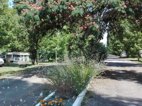 Camping Des Berges Du Gers - Camping Gers - Image N°15