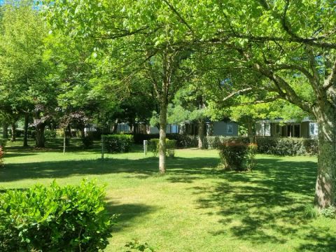 Camping Des Berges Du Gers - Camping Gers - Image N°5