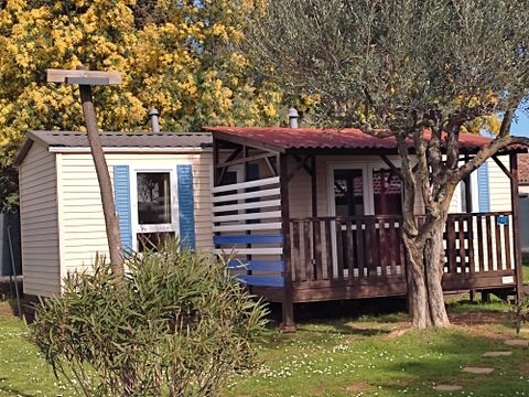 MOBILHOME 4 personnes - Confort "Mimosa - Marguerite - Crocus - Jacinthe" 2 chambres Climatisé