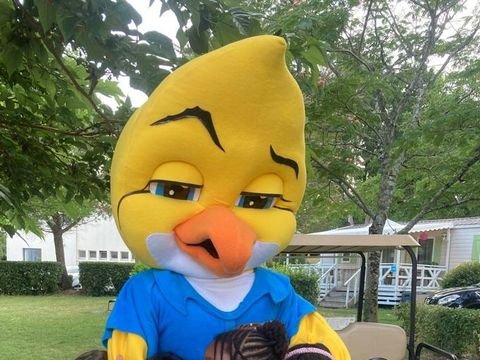 Camping Paradis Aloé - Camping Charente-Maritime - Image N°12