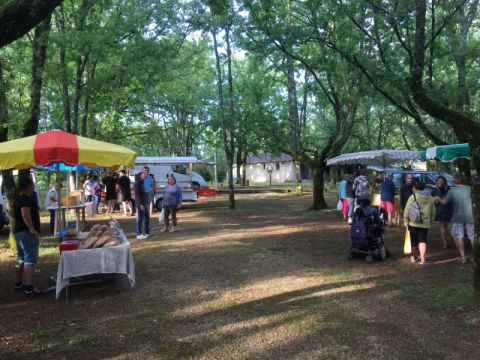 Camping Sites et Paysages - Les Hirondelles  - Camping Lot - Image N°19