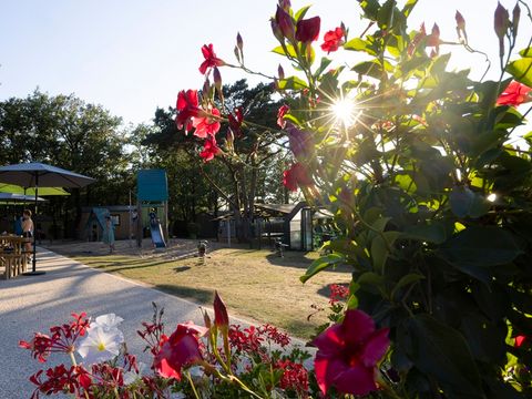 Camping Sites et Paysages - Les Hirondelles  - Camping Lot - Image N°8