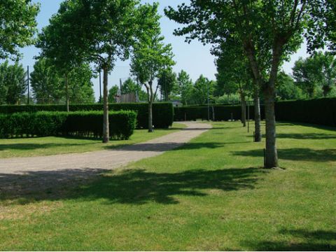 Camping de l'Epy - Camping Pas-de-Calais - Image N°19