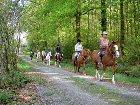 Camping La Joletière - Camping Vendée - Image N°11