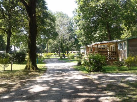 Camping OAKi - Camping Vendée - Image N°2