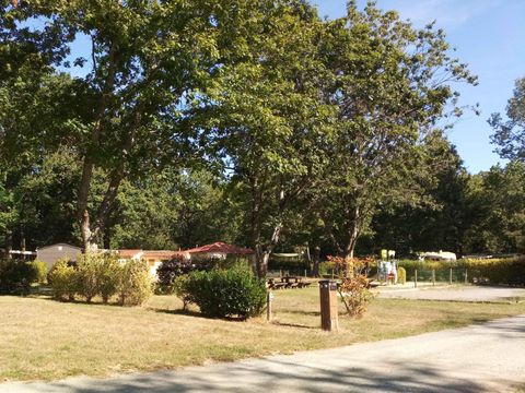 Camping OAKi - Camping Vendée - Image N°23